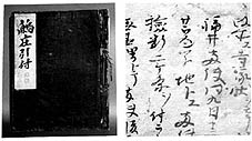 Diary of the Ikaruga Temple